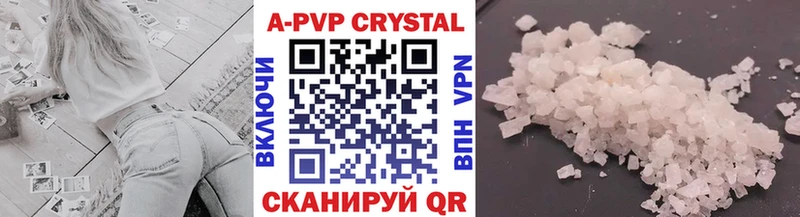 A PVP СК КРИС Белгород