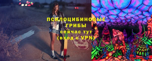 PSILOCYBIN Алексеевка