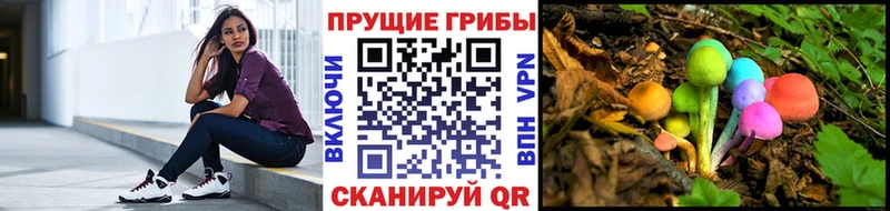 купить   hydra ССЫЛКА  Псилоцибиновые грибы GOLDEN TEACHER  Белгород 